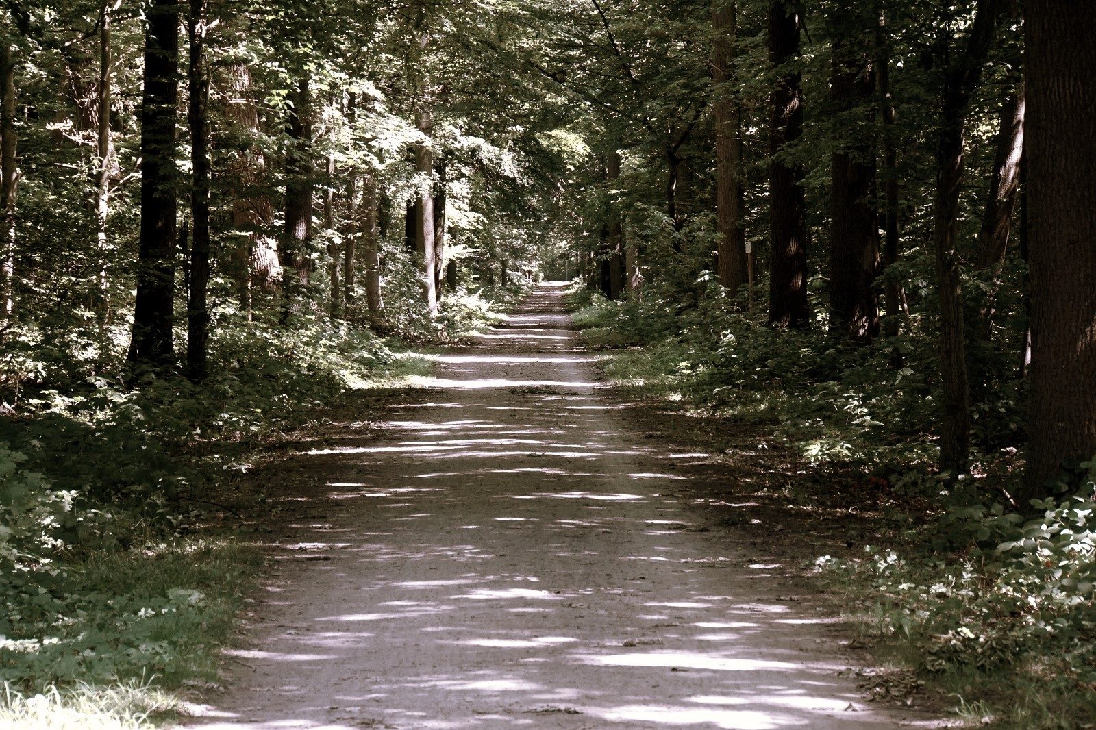 Der Weg zu deinem Ziel